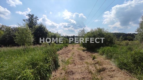 Działka 14 770 m2 pod zabudowę i inwestycje działka Chęciny, Dobrzączka