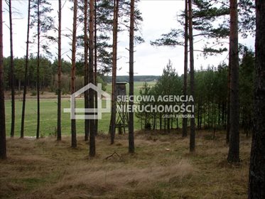 działka na sprzedaż 165900m2 działka Małe Chełmy