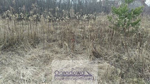 działka na sprzedaż 1000m2 działka Kajetany