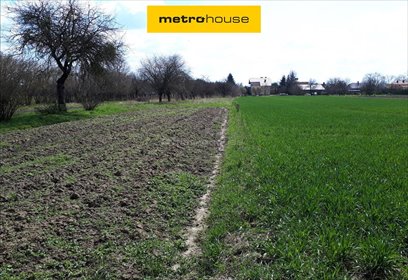 działka na sprzedaż 4249m2 działka Terespol