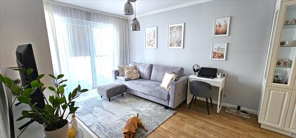 mieszkanie na sprzedaż 41m2 mieszkanie Cedzyna