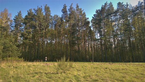 działka na sprzedaż 3058m2 działka Budzistowo, Stare Miasto