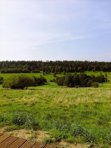 działka na sprzedaż 2342m2 działka Czarna Góra