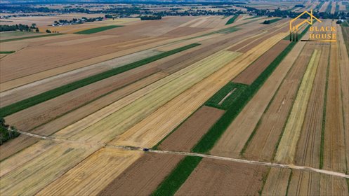 Sprzedam działkę 58 200 m² w Piotrkowie Drugi działka Piotrków Drugi