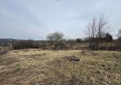 Działka budowlana na sprzedaż Bibice, Witkowicka 1 047m2 Foto 3