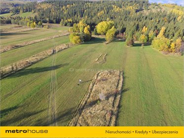 Działka rolna na sprzedaż Trybsz, Łapsze Niżne 3 000m2 Foto 4