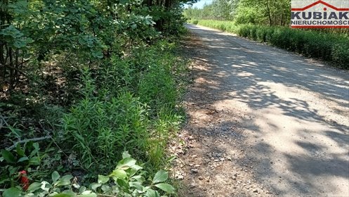 działka na sprzedaż 9296m2 działka Zaręby