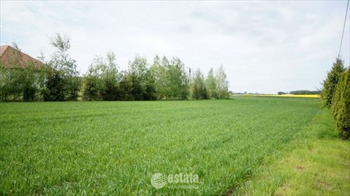 Działka budowlana na sprzedaż Juszczyn, budowlana /Juszczyn-między Wrocławiem a Środą 1 454m2 Foto 7