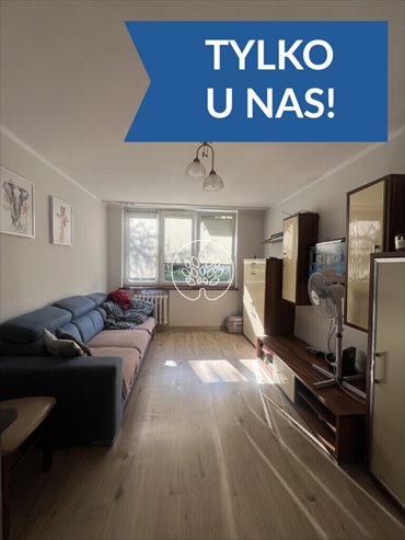 mieszkanie na wynajem 38m2 mieszkanie Toruń