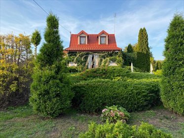 Urokliwy dom z ogrodem i garażem w Woli Mysłowskiej dom Wola Mysłowska