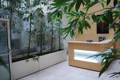 lokal użytkowy na wynajem 62m2 lokal użytkowy Wrocław, Stare Miasto, Rynek