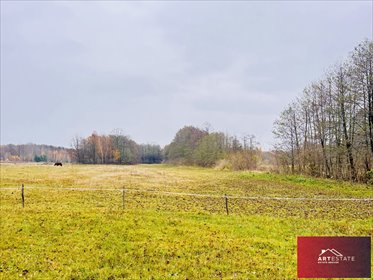 działka na sprzedaż 1096m2 działka Nowy Adamów, Nowy Adamów