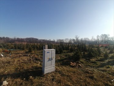 Działka 3000 m2 z pozwoleniem na budowę i projektem willi działka Grądy