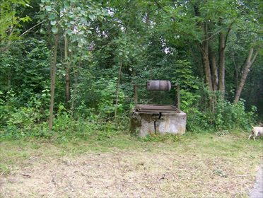Działka budowlana na sprzedaż Imielno 7 700m2 Foto 4