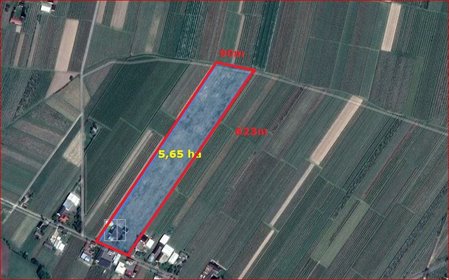 Działka 5,65 ha z budynkami, media, uprawy, inwestycja działka Goliany