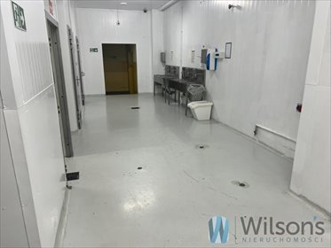Hala produkcyjno-magazynowa 3000 m² - nowoczesna i gotowa lokal użytkowy Nowe Lipiny, Szosa Jadowska