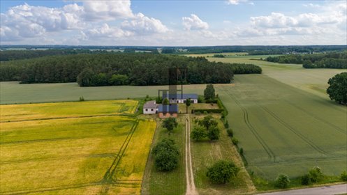 działka na sprzedaż 130000m2 działka Płońsk