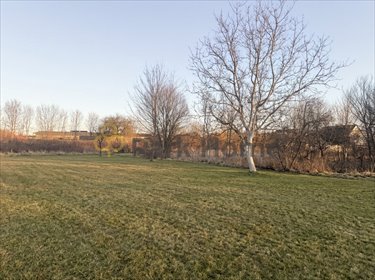 Do sprzedania działki budowlane od 525 m² w Żaganiu działka Żagań