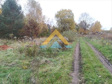 Działka leśna na sprzedaż Suchowo 19 300m2 Foto 5