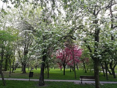 mieszkanie na sprzedaż 37m2 mieszkanie Warszawa, Żoliborz, Braci Załuskich