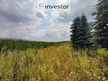 Działka budowlana na sprzedaż Zemborzyce Dolne 7 400m2 Foto 1