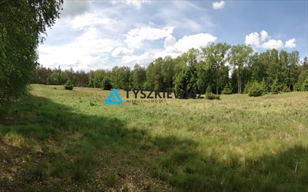 działka na sprzedaż 13199m2 działka Stara Kiszewa, Leśna