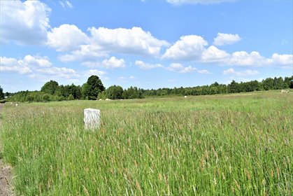 działka na sprzedaż 800m2 działka Łysiec