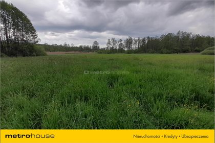 Działka rolna na sprzedaż Wymysłów, Wolanów 11 000m2 Foto 2