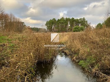 działka na sprzedaż 11400m2 działka Kłodawa