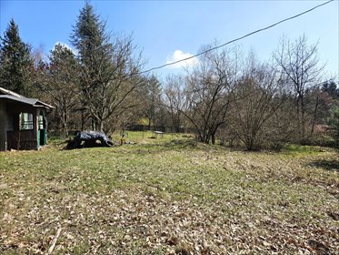 dom na sprzedaż 32m2 dom Królowa Wola