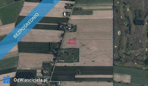 działka na sprzedaż 3000m2 działka Wola Błędowska