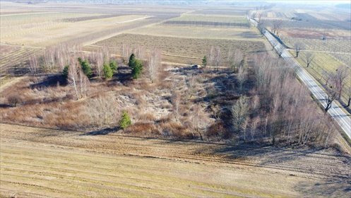 działka na sprzedaż 17447m2 działka Karczmiska Pierwsze