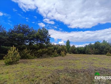 działka na sprzedaż 5100m2 działka Przydawki