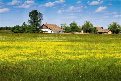 działka na sprzedaż 5000m2 działka Dąbrowa Szlachecka