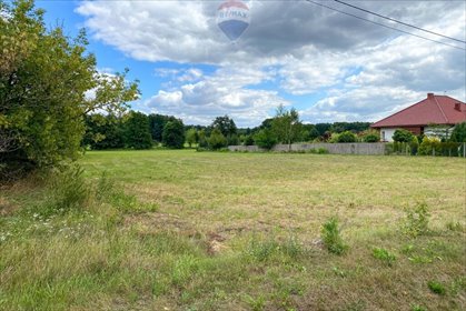 Działka 3149 m² z warunkami zabudowy i widokiem na pola działka Łaziska