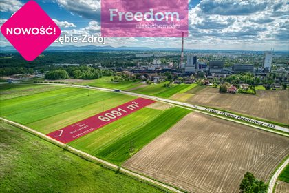 działka na sprzedaż 6091m2 działka Jastrzębie-Zdrój, Dębina