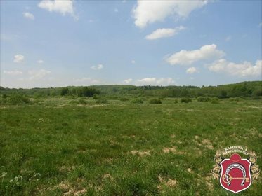 działka na sprzedaż 237000m2 działka Połchówko