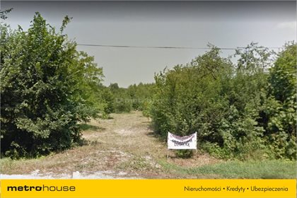 Działka budowlana na sprzedaż Jasionna, Jędrzejów 5 900m2 Foto 2