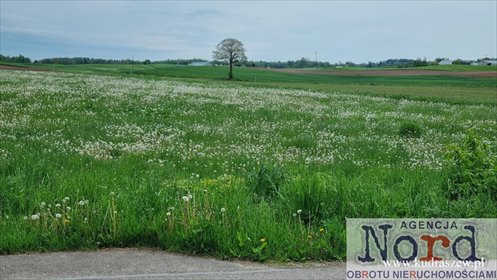 działka na sprzedaż 1158m2 działka Barszcze