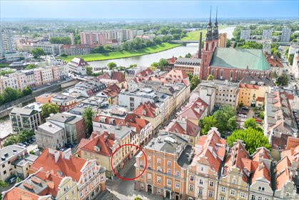 lokal użytkowy na wynajem 329m2 lokal użytkowy Opole