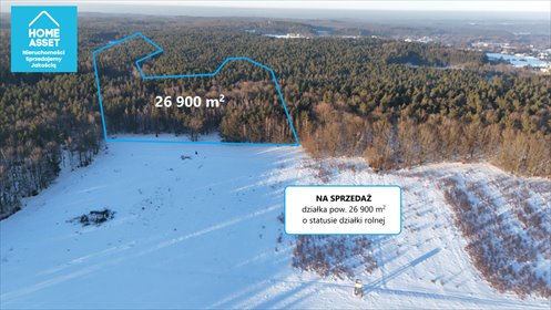 działka na sprzedaż 26900m2 działka Bieszkowice