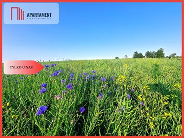 działka na sprzedaż 1250m2 działka Objezierze