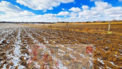 działka na sprzedaż 3500m2 działka Płouszowice-Kolonia