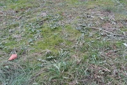 Działka inna na sprzedaż Lubatowa 3 300m2 Foto 1