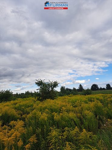 działka na sprzedaż 3231m2 działka Ługi Ujskie