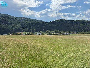 Działka 62 arów z panoramicznym widokiem w Muszynie działka Muszyna