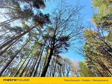 Działka budowlana na sprzedaż Białe Błoto, Dobroszyce 3 087m2 Foto 5