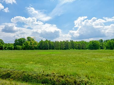 Rozległa działka 5200 m² z potencjałem budowlanym działka Mieszków