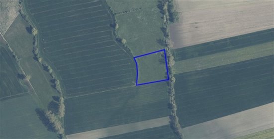 Działka rolna 10 700 m² w Nieborowie (klasa Ps III) działka Nieborowo
