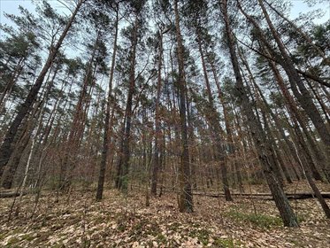 działka na sprzedaż 1820m2 działka Magdalenka